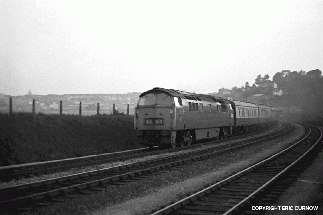 750606A31-PDN-D1011-PAS_U=w