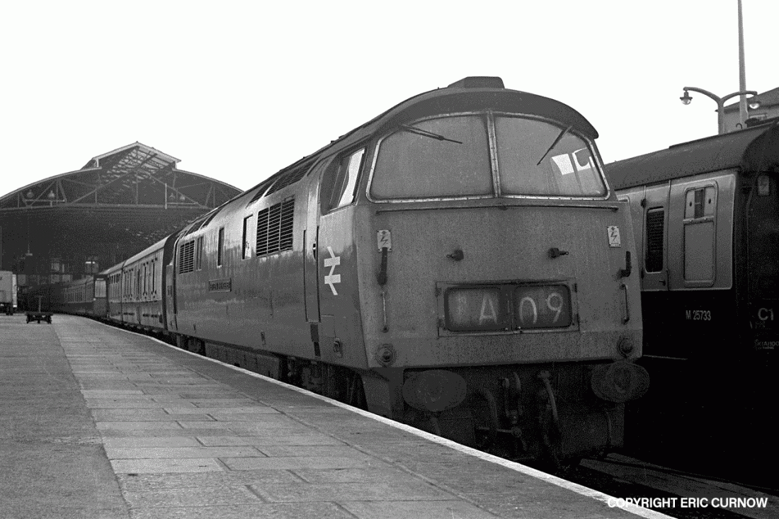 750606A29-PNZ-D1011-PAS_U=w