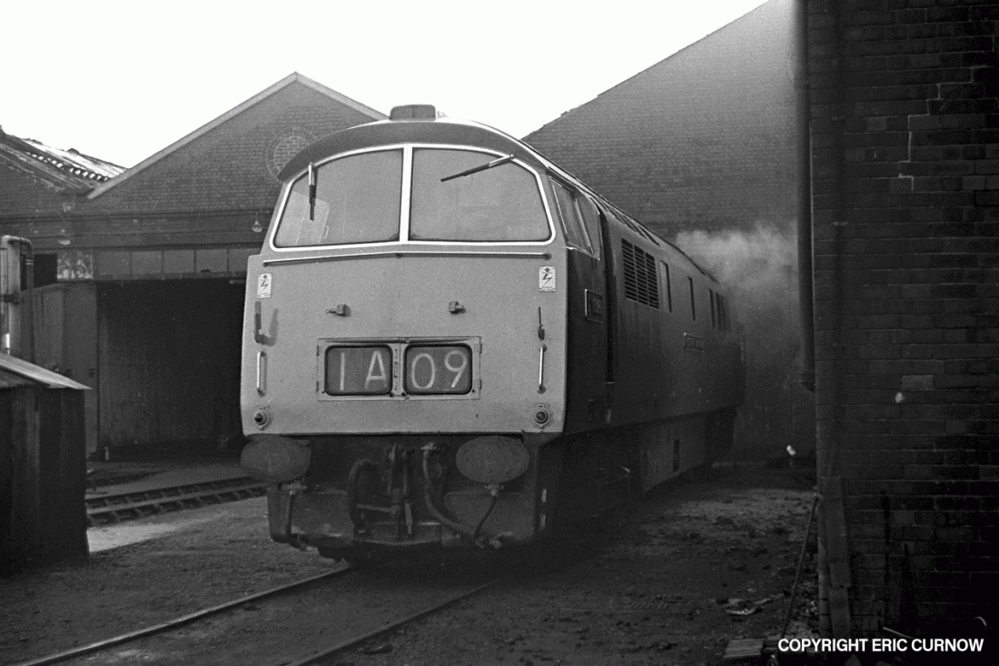 750606A30-LRK-D1036-PARKD=w