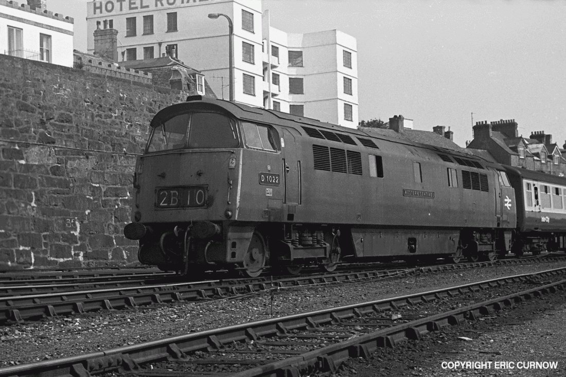 750529A23-PNZ-D1022-PAS_D=w