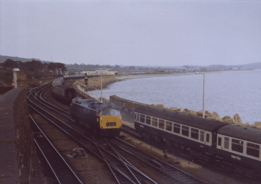 750522A01-PNZ-D1021-LIG_D=5