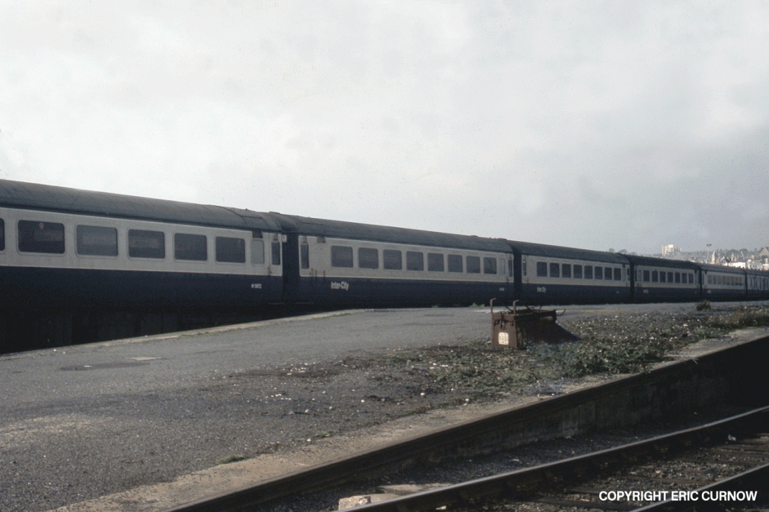 761001A01-PDN-COACH-PARKD=w