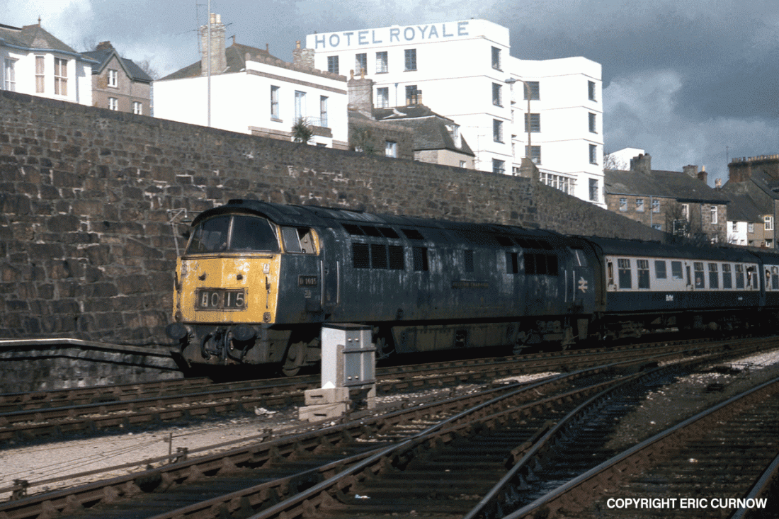 761106A07-PNZ-D1015-PASSD=w