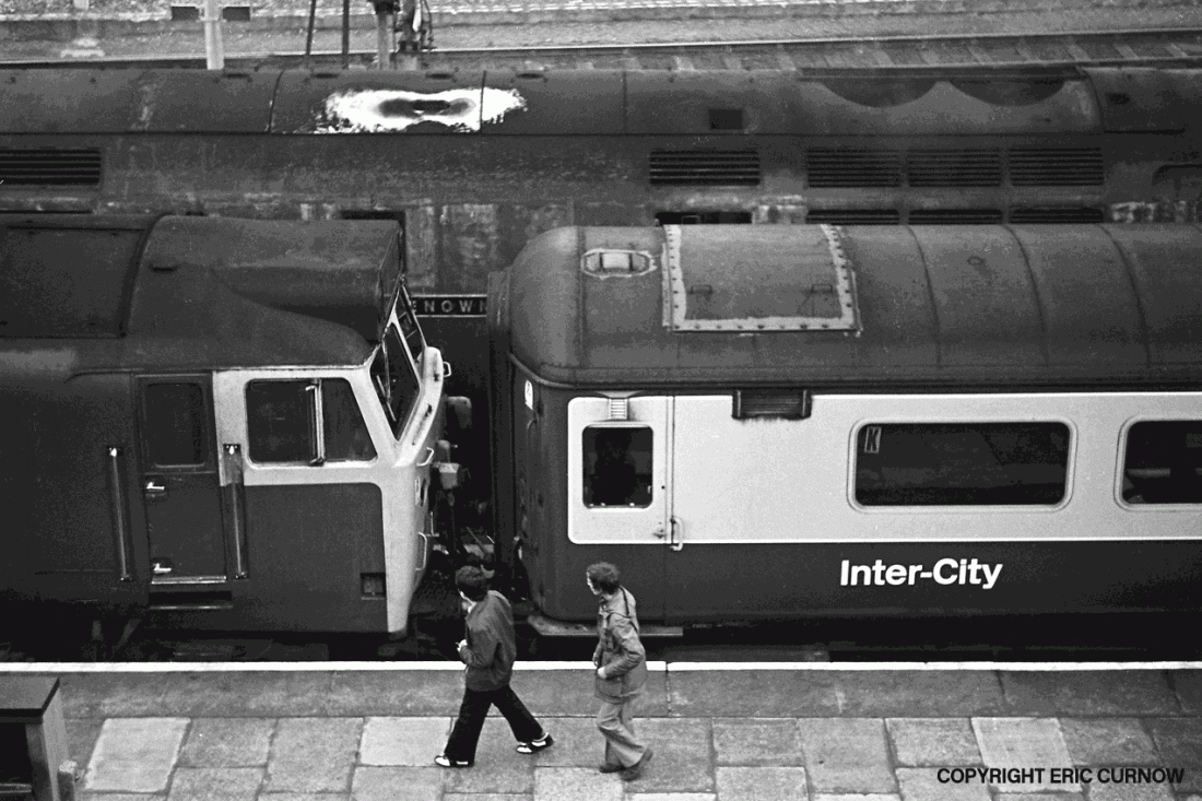 750510A26-PNZ-LOCOS-PARKD=w