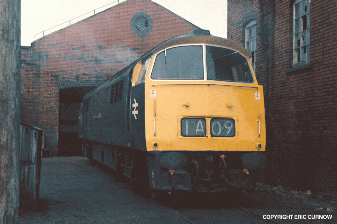 750607A06-LRK-d1036-PARKD=w