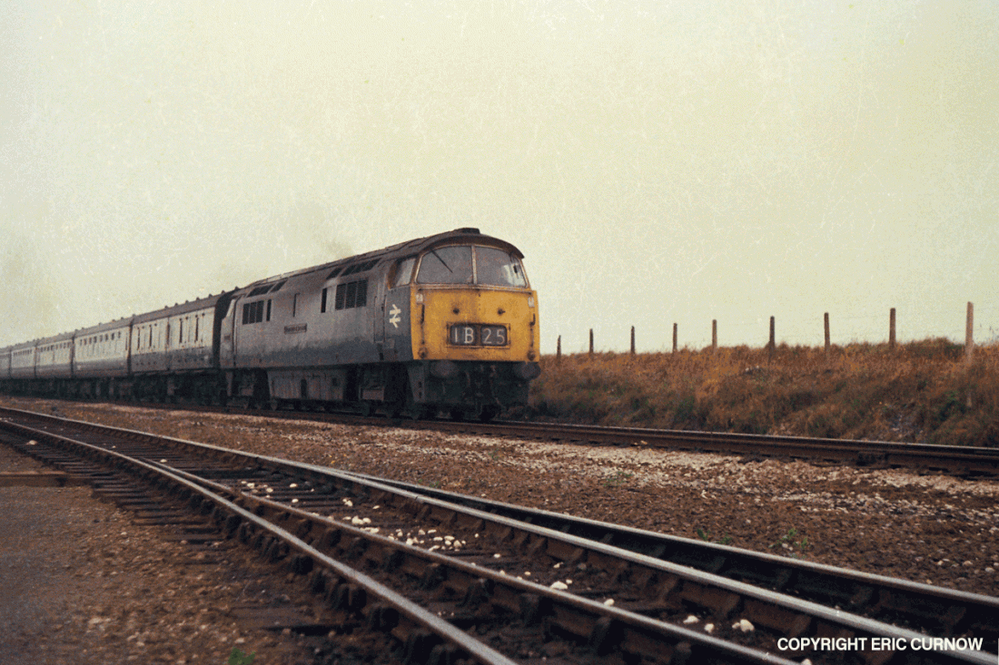 750726G28-PDN-D1069-PAS_D=w