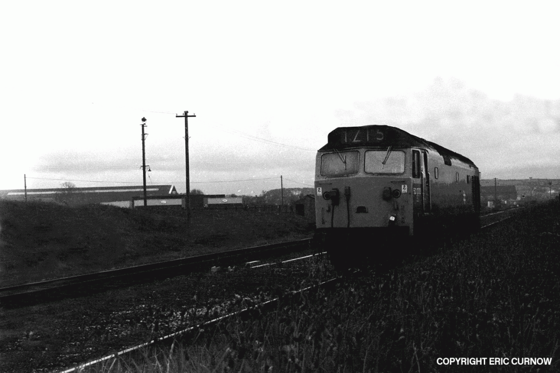 750510A11-LRK-50033-LIG_D=w