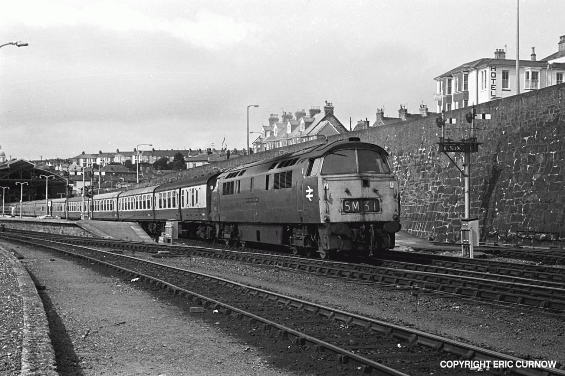 750607B33-PNZ-D1012-PAS_U=w