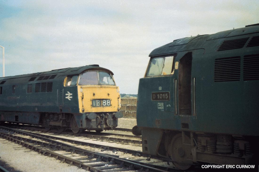 750726G33-PNZ-D1058-LIG_D=w