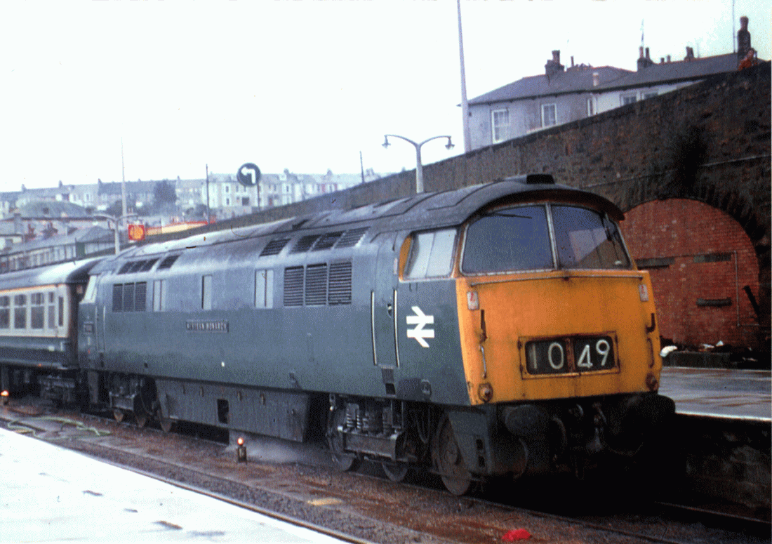 760128A01-PNZ-D1049-PAS_U=5